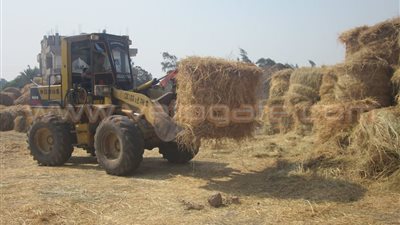 بالصور.. لجنة زراعة الشرقية تتفقد مواقع جمع وتدوير قش الأرز