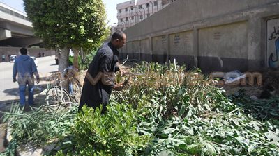 بالصور.. «نظافة الجيزة» ترفع المخلفات بمحيط المدارس