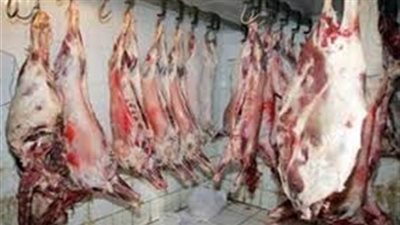 «التموين»: ضبط لحوم فاسدة معدة لمطاعم بشرم الشيخ والغردقة