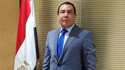 تكنوبايكن تُعلن زراعة 15 ألف فدان بالأرز  والقمح في غانا لطرحها بالأسواق المصرية