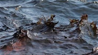 «بيئة الدقهلية»: السيطرة على بقعة زيت بـ«نيل» المنصورة