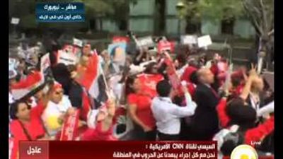 بالفيديو.. وقفة تأييد للسيسي أمام مقر الأمم المتحدة