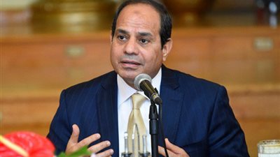 السيسي يكشف أسباب خسارة شركات قطاع الأعمال