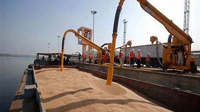 وصول 63 ألف طن قمح روسي لميناء سفاجا