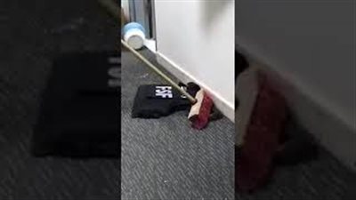 بالفيديو.. رد فعل أشخاص اقتحم ثعبان «كوبرا» منزلهم