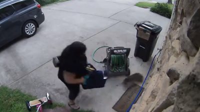 رد فعل صادم لامرأة هاجمها حيوان الراكون لحظة خروجها من منزلها (فيديو)