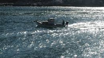 تسرب بترولي يتسبب في تسمم الأسماك بالعين السخنة