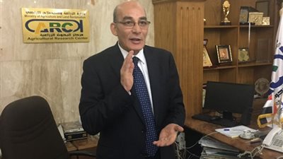 البنا: فقدنا 80 ألف فدان من الرقعة الزراعية من 2011 وحتى الآن