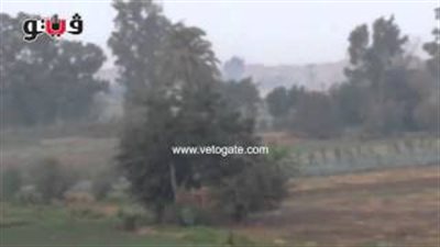 بالفيديو.. حرق «قش الأرز» في قليوب