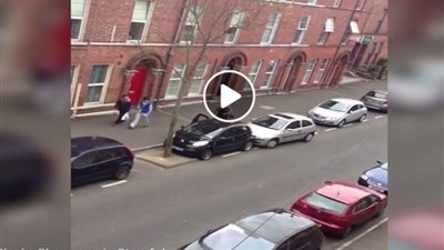 بالفيديو.. معاناة فتاة في ركن سيارتها تشعل «فيس بوك»