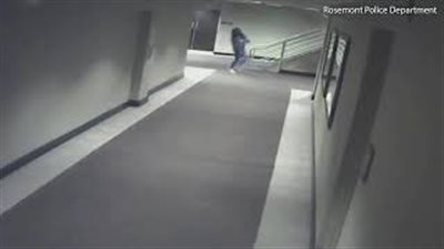 بالفيديو والصور.. مصرع فتاة مخمورة بعد نومها بثلاجة فندق