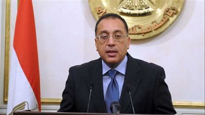 مدبولي يتابع مشكلة انتشار النمل الأبيض بمنازل نصر النوبة والقرنة