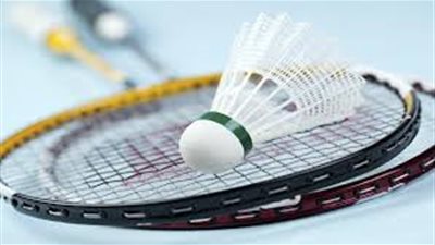 هشام التهامي رئيسا لاتحاد الريشة الطائرة