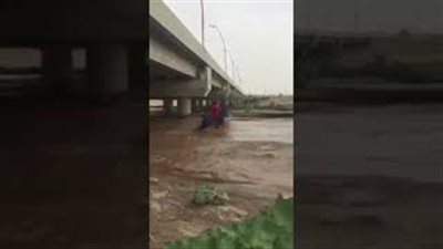 نهاية مروعة لشاب حاول تحدي سيل بحصانه (فيديو)