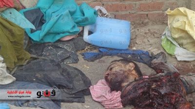 بالفيديو والصور.. أهالي «العصارة» يروون تفاصيل مصرع الإرهابي المتورط في اغتيال ضابط الأمن الوطني.. عثر بمنزله على 5 أجهزة محمول وهاتف «الثريا».. ومصدر أمني يؤكد تورطه في قتل نجل مس