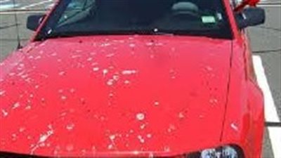 أضرار ركن السيارات أسفل أشعة الشمس