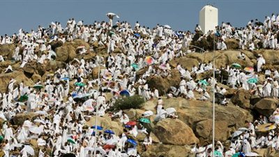 التضامن: 270 «باص» لتصعيد حجاج الجمعيات إلى عرفات