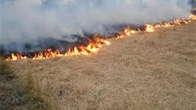 زيادة مخالفات السحابة السوداء لـ 977 محضرا بالغربية وكفر الشيخ