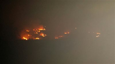 بالصور.. حرق قش الأرز بقرية محلة أبو علي بكفر الشيخ