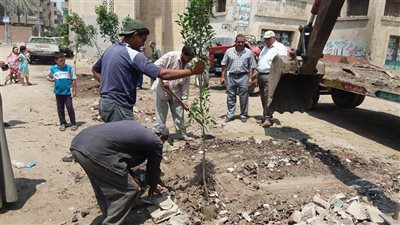«ميت غمر» تستجيب لما نشرته «فيتو» عن دماص تحت حصار القمامة (صور)