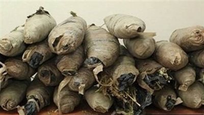 التحقيق في واقعة ضبط مخزن بداخله 600 كيلو بانجو بالإسماعيلية