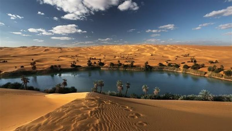 فيتو