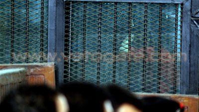 بالفيديو والصور .. إحالة أوراق حبارة و34 متهمًا في مذبحة رفح الثانية للمفتي