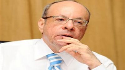 وحيد عبد المجيد: دعوة «المحظورة» لمقاطعة الاستفتاء «ليس لها قيمة»