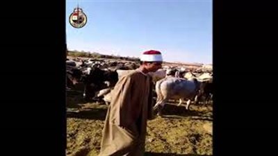 وفد أئمة الأوقاف يزور مجزر أبي سمبل بأسوان (فيديو صور)