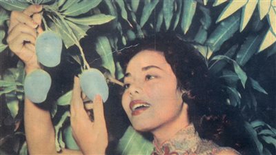 صورة نادرة للممثلة ماجدة مع «المانجو»