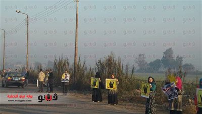 اشتباكات بين سائقي السنبلاوين وأنصار 