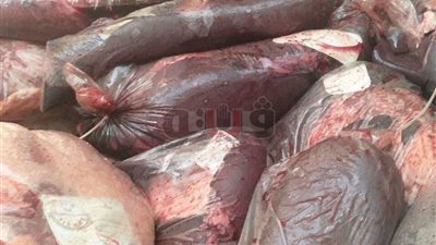 ضبط 1.5 طن لحوم غير صالحة للاستهلاك بثلاجة في دمنهور (صور)