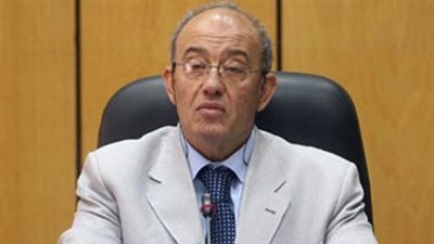 البرعي: الضغط على الجماهير «مخيف».. وفشلت في التقريب بين الحكومة والمعارضة