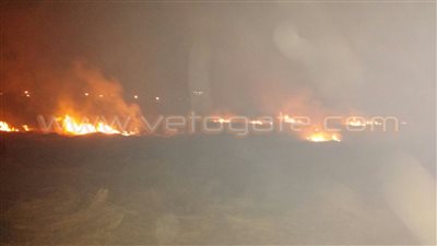 بالصور.. لليوم الثاني على التوالي.. حرق قش الأرز بـ«محلة» كفر الشيخ