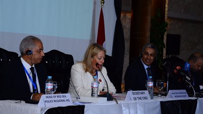 بالصور.. نص كلمة رئيس قطاع مكافحة المخدرات خلال المؤتمر الأفريقي