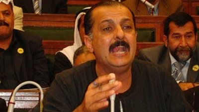 برلماني سابق: من الأفضل تخصيص قاض لكل صندوق في الاستفتاء