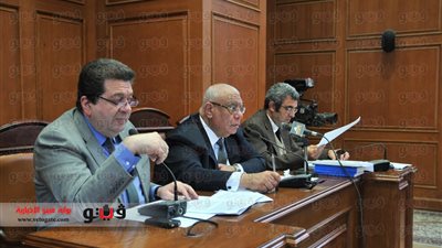 المجلس التأسيسى للمترجمين يطالب الشورى بإصدار قانون نقابة لهم