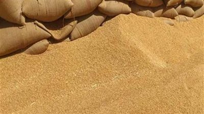 وزير الزراعة: إعداد تقرير نهائي بشأن القمح المخلوط بالخشخاش