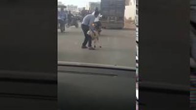 لحظة سرقة خروف من شاحنة تسير على طريق سريع (فيديو)