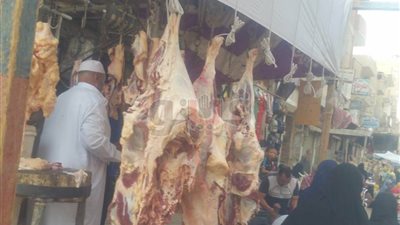 إقبال على شراء اللحوم بالفيوم بسبب تزامن عيد العذراء مع الأضحى