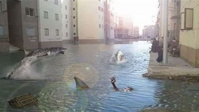 حيل المصريين لتوصيل صوتهم للمسئولين.. أهالي بورسعيد يلجئون إلى «أسماك القرش» لمقابلة «الغضبان».. حملة «يا محافظ الشرقية اسمعنا» تدفع «سعيد» لتخصيص يوم لمقابلة ا