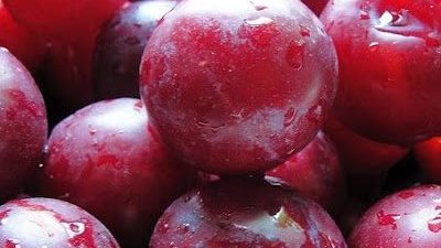 البرقوق والخوخ المجفف أفضل وسيلة للوقاية من السرطان