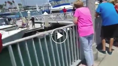 لحظة إنقاذ عائلة سقطت سيارتهم في البحر (فيديو)