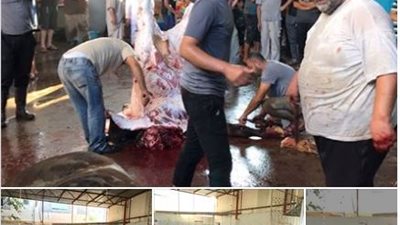 «فرحة بطعم الحزن».. فلسطين تستقبل عيد الأضحى (فيديو وصور)