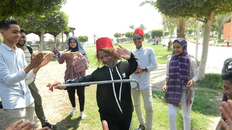 فيتو