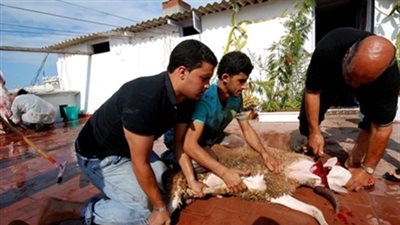 «القاهرة تتجمل في أول أيام العيد».. مديرية الطب البيطري تراقب 6 مجازر بالمحافظة.. التموين تتأكد من توافر السلع الأساسية واللحوم بالأسواق.. «هيئة النظافة» ترفع الطوارئ لإزالة مخلفات