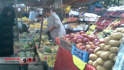 بالصور.. استمرار تطبيق التسعيرة الاسترشادية بأسواق 