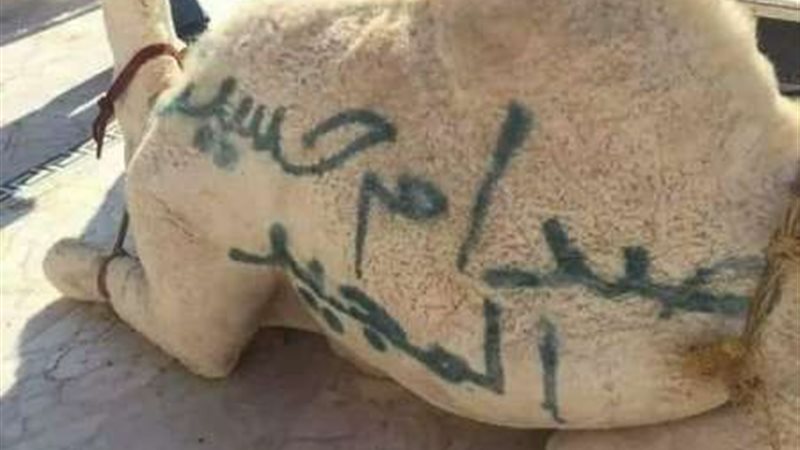 فيتو