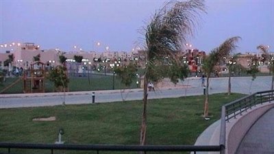 تكلفة الدعاية الانتخابية في الأندية الرياضية «تقرير»