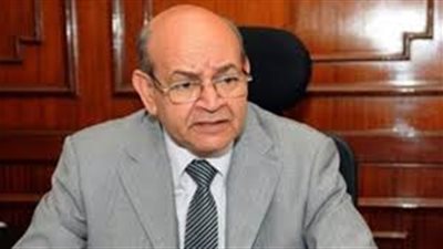 محافظ الجيزة: ضبط 8 طن مواد غذائية فاسدة بالهرم والدقي